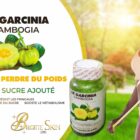 Le Garcinia Cambogia