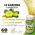 Le Garcinia Cambogia